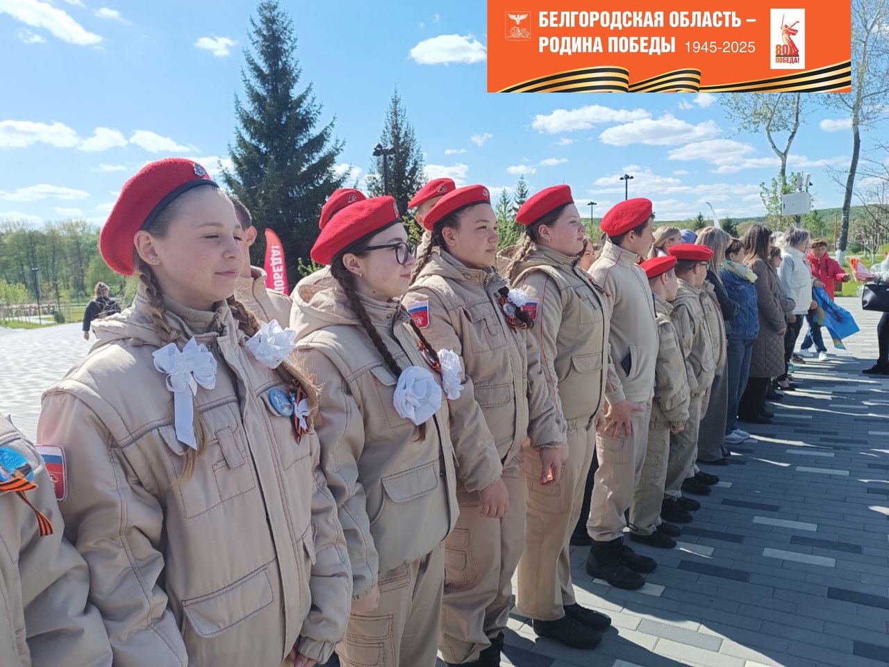 Тополя Победы.